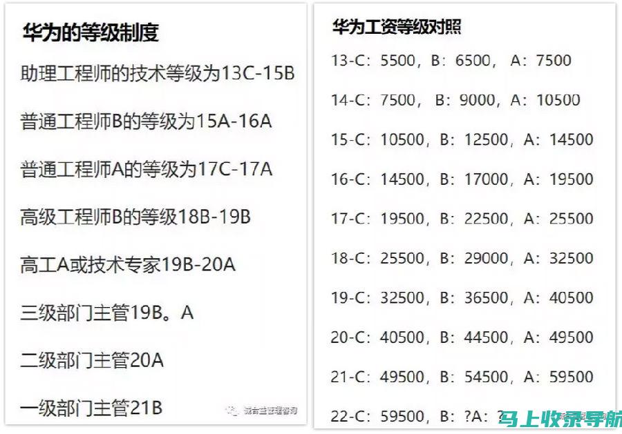 站长职业等级划分：不同级别的职责与技能要求